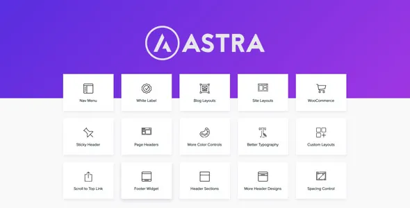 Astra Pro Addon