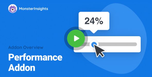 MonsterInsights – Performance Addon